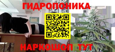 каннабис Моздок