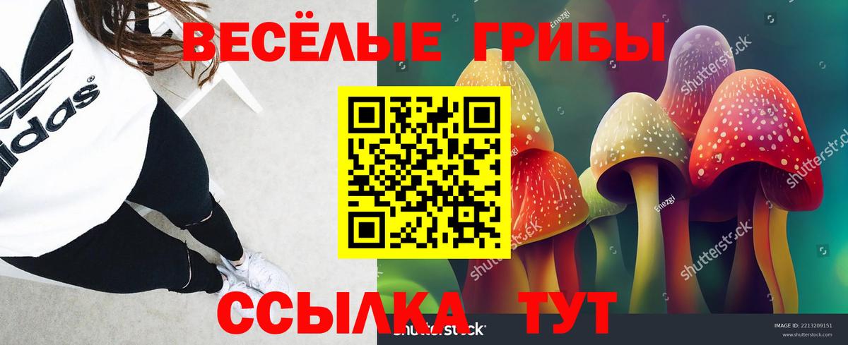 Галлюциногенные грибы Psilocybe Унеча